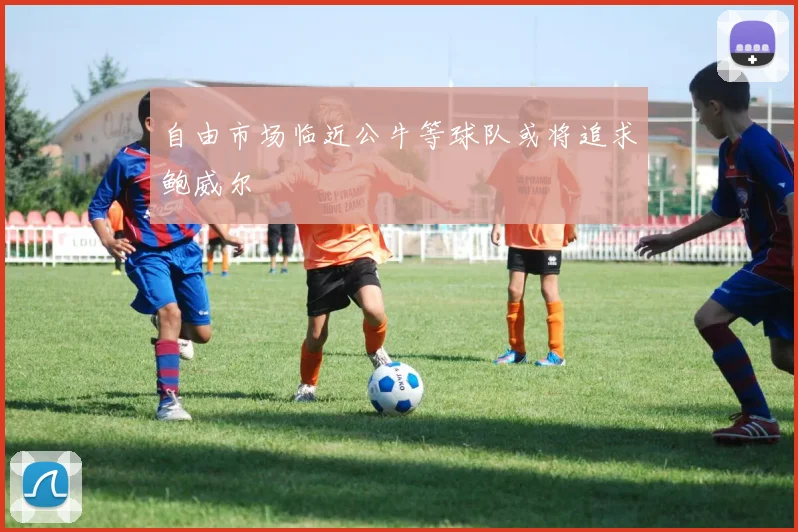 自由市场临近公牛等球队或将追求鲍威尔