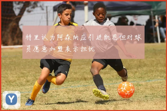 特里认为阿森纳应引进凯恩但对球员愿意加盟表示担忧