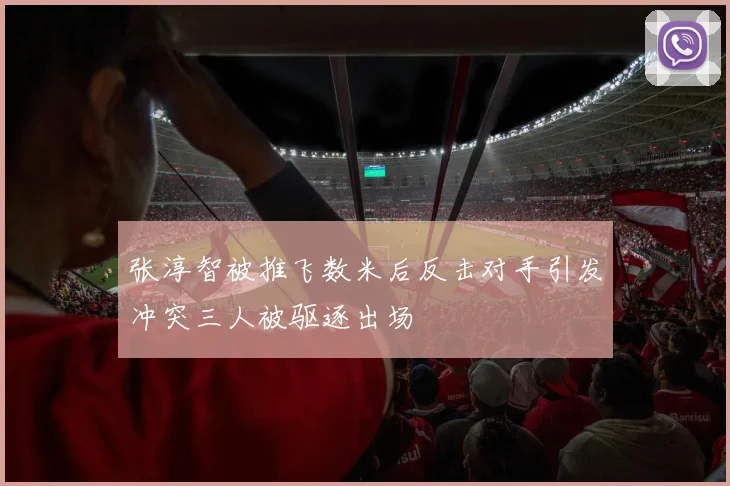 张淳智被推飞数米后反击对手引发冲突三人被驱逐出场