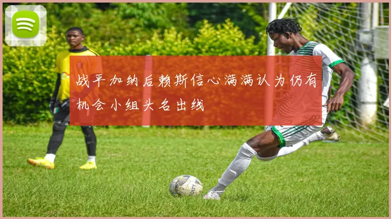 战平加纳后赖斯信心满满认为仍有机会小组头名出线